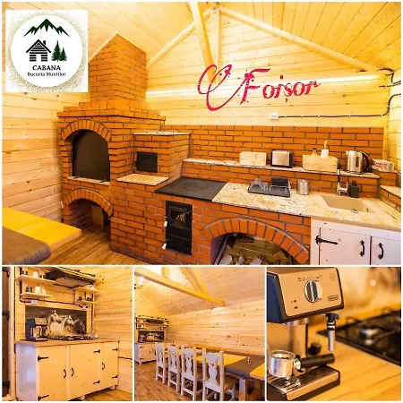 Holiday home Bucuria Muntilor