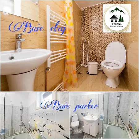 Bucuria Muntilor Holiday home *